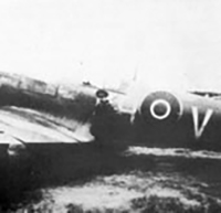 Flying Officer Robert Young